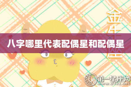 八字哪里代表配偶星和配偶星