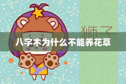 八字木为什么不能养花草