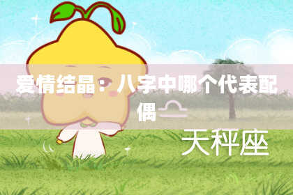 爱情结晶：八字中哪个代表配偶