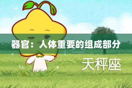 器官：人体重要的组成部分