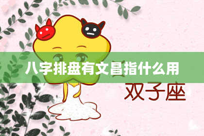 八字排盘有文昌指什么用