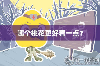 哪个桃花更好看一点?