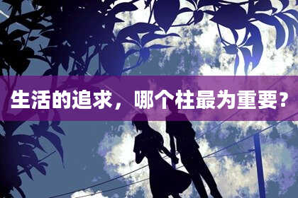 生活的追求,哪个柱最为重要?