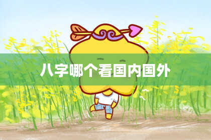 八字哪个看国内国外