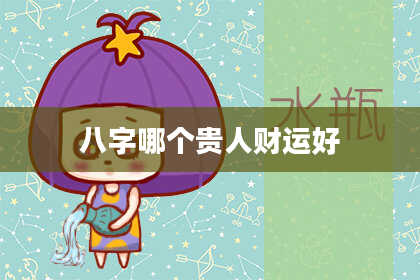 八字哪个贵人财运好