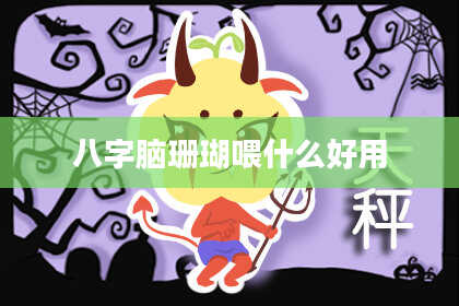 八字脑珊瑚喂什么好用