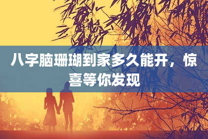 八字脑珊瑚到家多久能开，惊喜等你发现