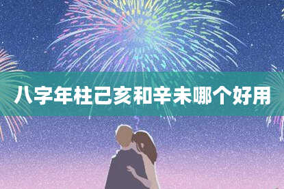 八字年柱己亥和辛未哪个好用