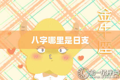 八字哪里是日支