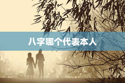 八字哪个代表本人