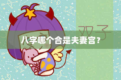 八字哪个合是夫妻宫？