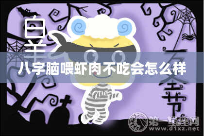 八字脑喂虾肉不吃会怎么样