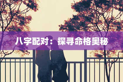 八字配对：探寻命格奥秘