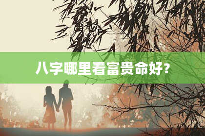 八字哪里看富贵命好？