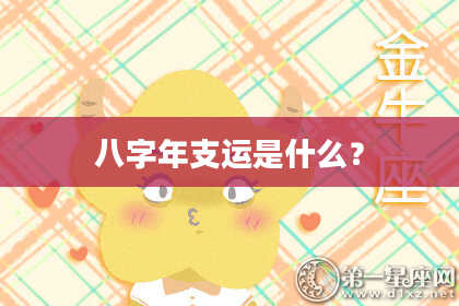 八字年支运是什么？