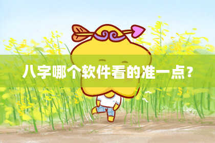 八字哪个软件看的准一点？