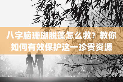 八字脑珊瑚脱藻怎么救？教你如何有效保护这一珍贵资源