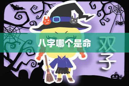 八字哪个是命