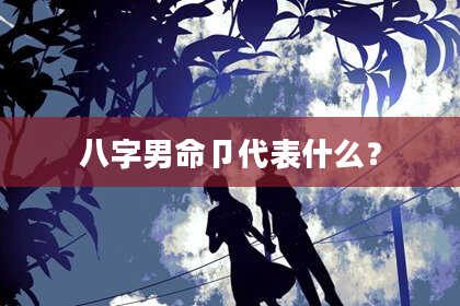 八字男命卩代表什么？