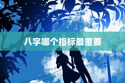 八字哪个指标最重要