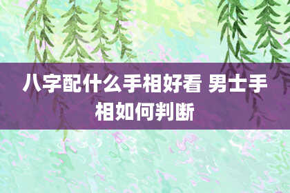 八字配什么手相好看 男士手相如何判断