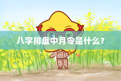 八字排盘中月令是什么？