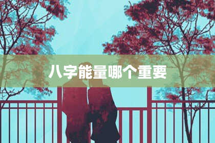 八字能量哪个重要