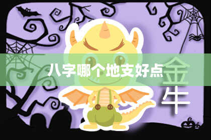 八字哪个地支好点