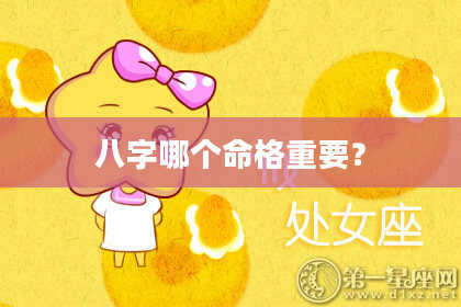 八字哪个命格重要？