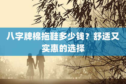 八字牌棉拖鞋多少钱？舒适又实惠的选择
