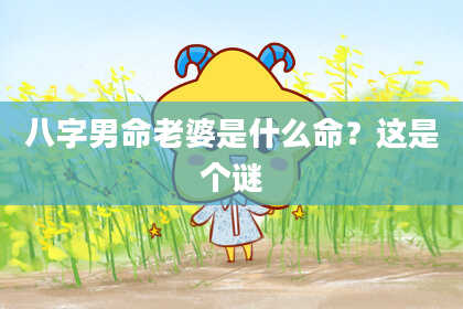 八字男命老婆是什么命？这是个谜