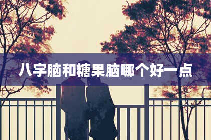 八字脑和糖果脑哪个好一点