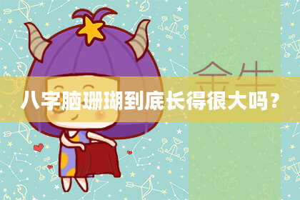 八字脑珊瑚到底长得很大吗？