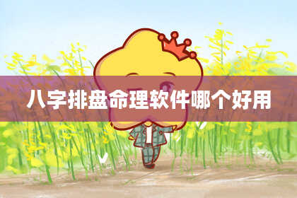 八字排盘命理软件哪个好用