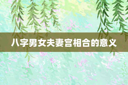 八字男女夫妻宫相合的意义