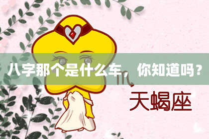 八字那个是什么车，你知道吗？