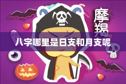 八字哪里是日支和月支呢
