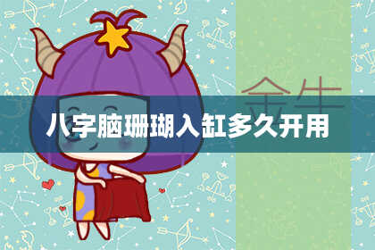 八字脑珊瑚入缸多久开用