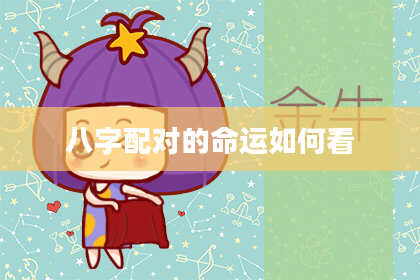 八字配对的命运如何看