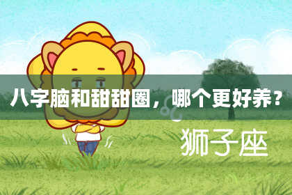 八字脑和甜甜圈，哪个更好养？