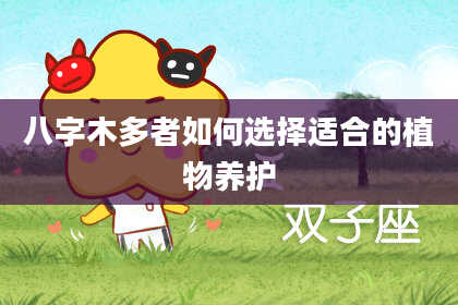 八字木多者如何选择适合的植物养护