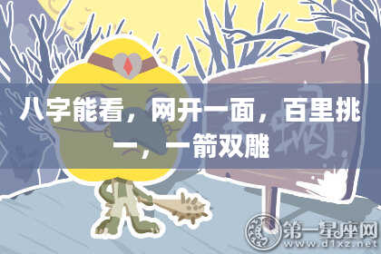 八字能看，网开一面，百里挑一，一箭双雕