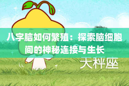 八字脑如何繁殖：探索脑细胞间的神秘连接与生长