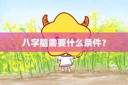 八字脑需要什么条件？
