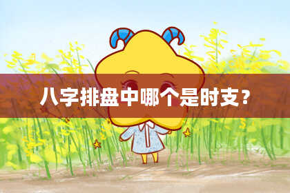 八字排盘中哪个是时支？