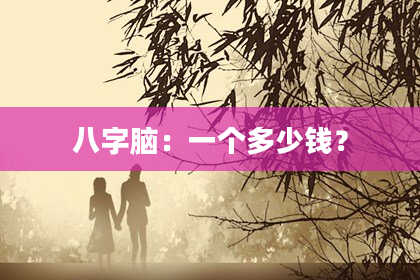 八字脑：一个多少钱？