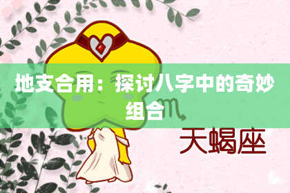 地支合用：探讨八字中的奇妙组合