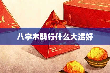 八字木弱行什么大运好