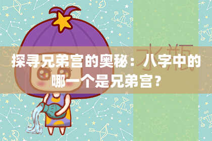 探寻兄弟宫的奥秘:八字中的哪一个是兄弟宫?