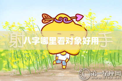 八字哪里看对象好用